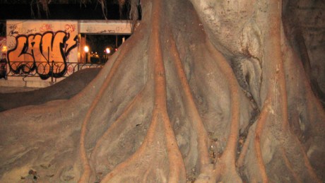 Valencia, Spain, October 2010