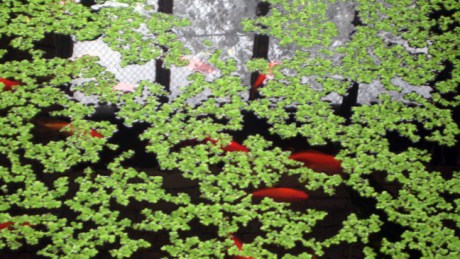 Belfast, Ireland, August 2012