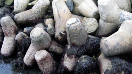 Kilmore, Wexford, Ireland, October 18th 2008