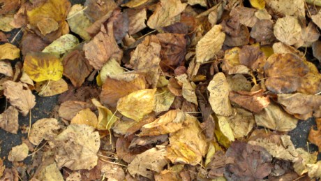 Dublin, Ireland, October 7th 2007