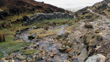 Mayo, Ireland, March 2009