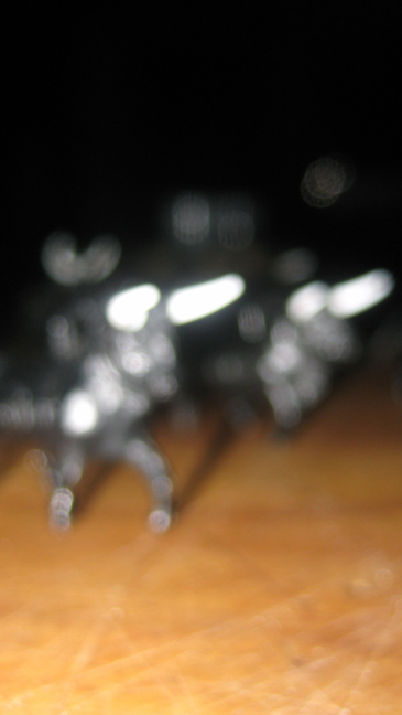 Dublin, Ireland, August 20th 2009