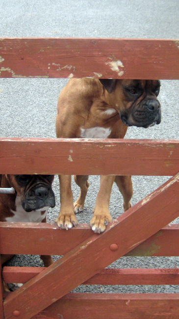 Tara, Meath, Ireland, July 2012