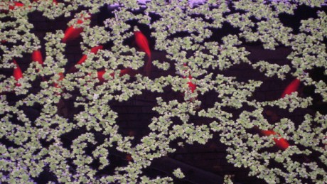 Belfast, Ireland, August 2012