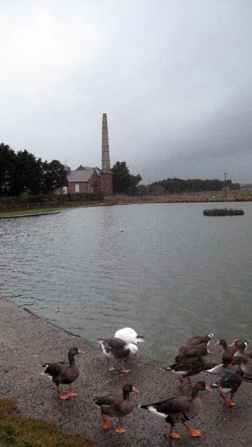 Wexford, Ireland, December 28th 2007