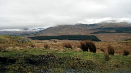 Mayo, Ireland, March 2009