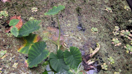 Belfast, Ireland, August 2012