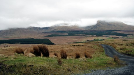 Mayo, Ireland, March 2009
