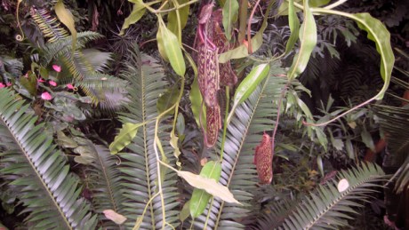 Belfast, Ireland, August 2012