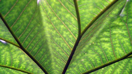 Belfast, Ireland, August 2012