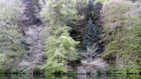 Inistioge, Kilkenny, Ireland,  May 2008