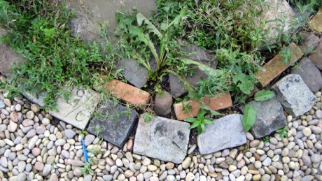 Dublin, Ireland, October 7th 2007