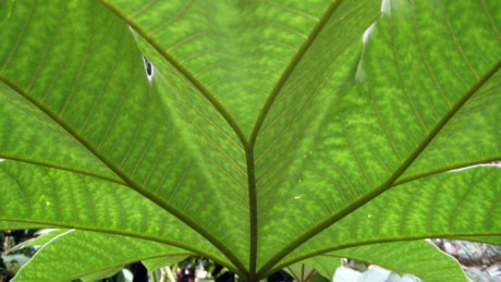 Belfast, Ireland, August 2012