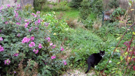 Dublin, Ireland, October 7th 2007