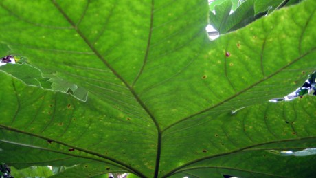 Belfast, Ireland, August 2012