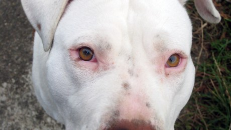 Killinick, Wexford, Ireland, October 18th 2008