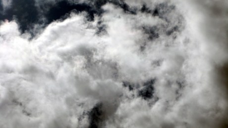 Kilruddery, Wicklow, Ireland, June 2008 