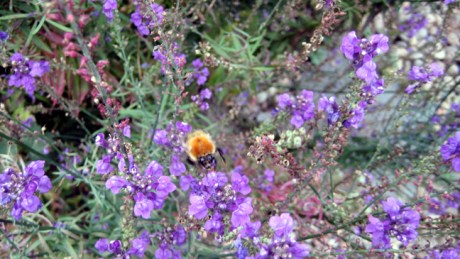 Dublin, Ireland, October 7th 2007