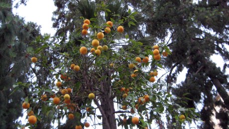 Valencia, Spain, June 2012