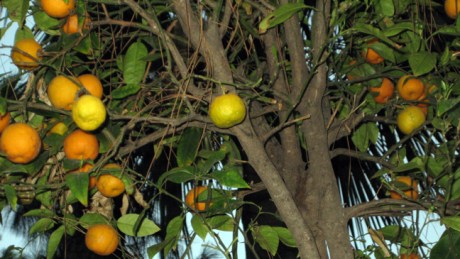 Valencia, Spain, June 2012