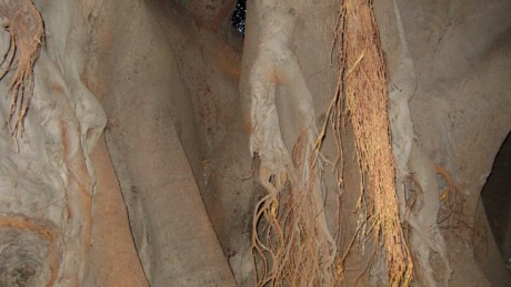 Valencia, Spain, June 2012