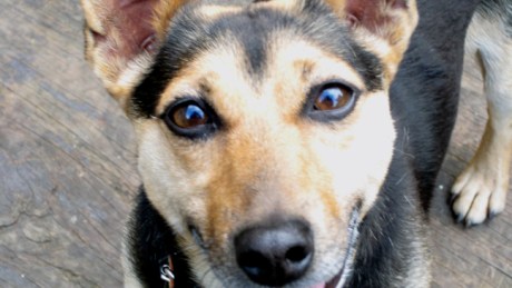 Wexford, Ireland, October 14th 2007