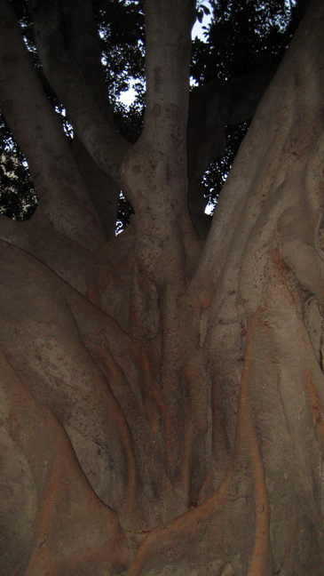 Valencia, Spain, June 2012