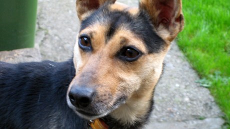 Wexford, Ireland, October 14th 2007