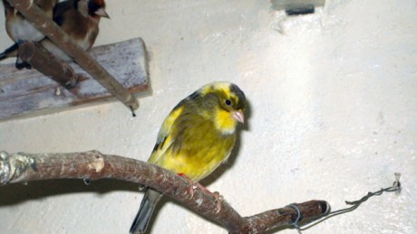 Wexford, Ireland, October 14th 2007