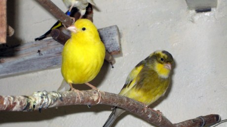 Wexford, Ireland, October 14th 2007