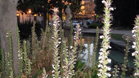 Valencia, Spain, June 2012