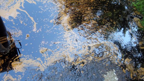 Ravens Point, Wexford, Ireland, June 2008