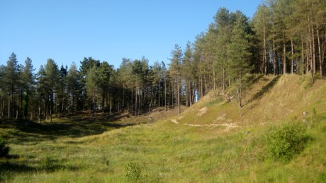 Ravens Point, Wexford, Ireland, June 2008