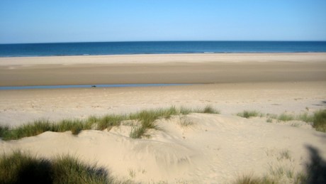 Ravens Point, Wexford, Ireland, June 2008