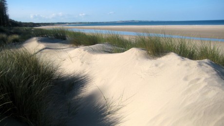 Ravens Point, Wexford, Ireland, June 2008