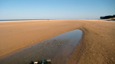 Ravens Point, Wexford, Ireland, June 2008