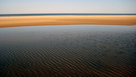 Ravens Point, Wexford, Ireland, June 2008
