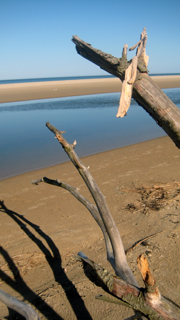 Ravens Point, Wexford, Ireland, June 2008
