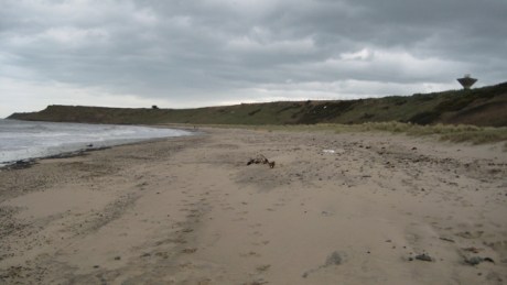 Rosslare, Wexford, Ireland, March 23rd 2008