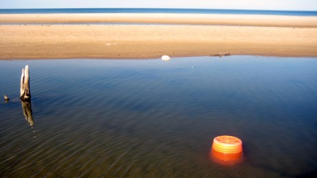 Ravens Point, Wexford, Ireland, June 2008