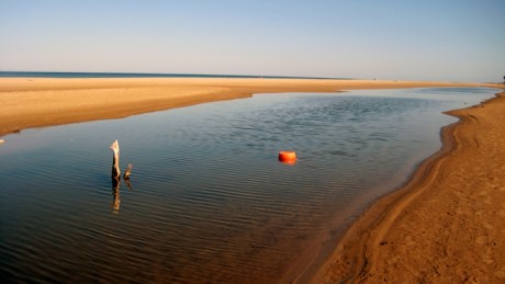 Ravens Point, Wexford, Ireland, June 2008