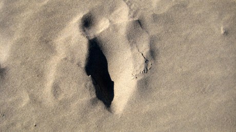 Ravens Point, Wexford, Ireland, June 2008
