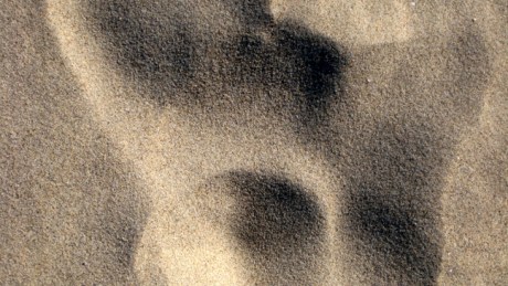 Ravens Point, Wexford, Ireland, June 2008