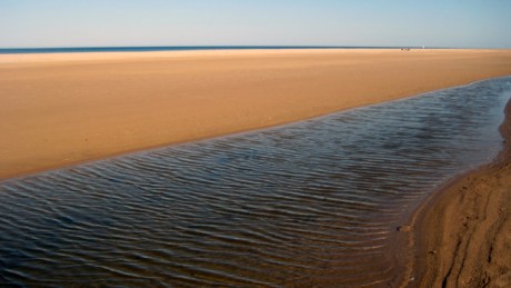 Ravens Point, Wexford, Ireland, June 2008