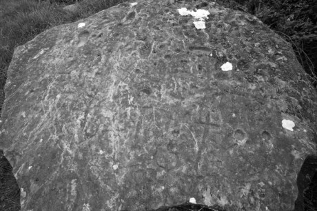 Clonfinlough, Offaly, Ireland 2012