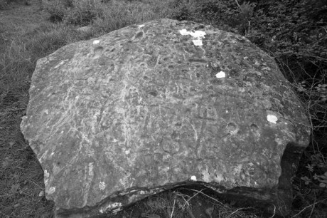 Clonfinlough, Offaly, Ireland 2012