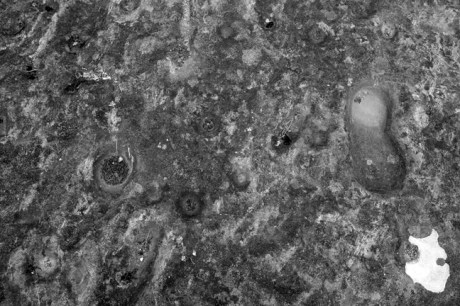 Clonfinlough, Offaly, Ireland 2012