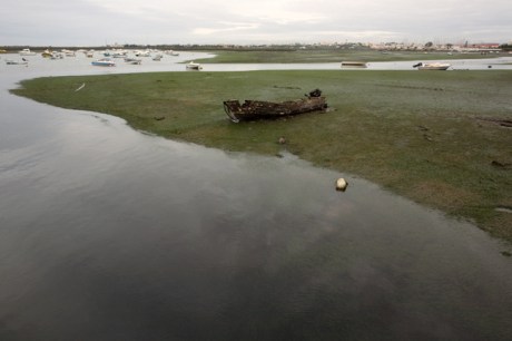 Ria da Formosa, Faro, Portugal, November 2012 Ria da Formosa, Faro, Portugal, November 2012