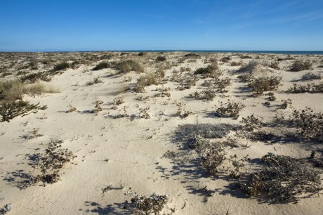 Ilha do Farol , Faro, Portugal, November 2012 Ilha do Farol , Faro, Portugal, November 2012