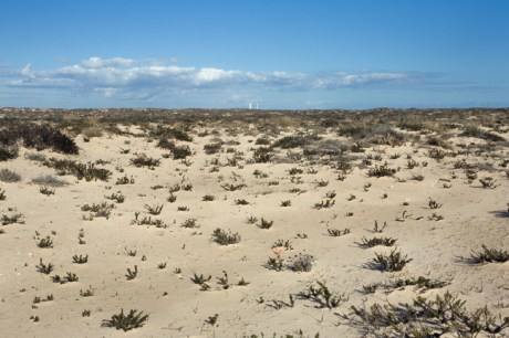 Ilha do Farol , Faro, Portugal, November 2012 Ilha do Farol , Faro, Portugal, November 2012